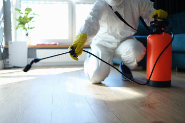 Reliable Sewage Cleanup contractor in Blue Ridge, TX by Trauma Clean Pros